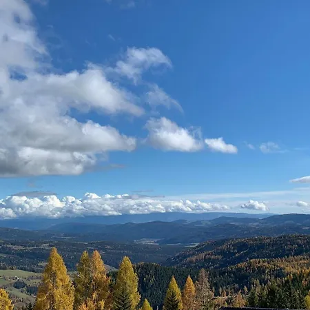 Tomtegl-bergchalet-no-5-mit-privatsauna-infinitypool-kamin-fitnessraum-1500m-seehoehe * Hochrindl