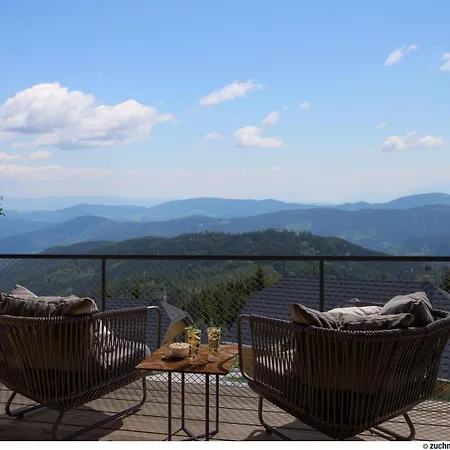 Tomtegl-bergchalet-no-5-mit-privatsauna-infinitypool-kamin-fitnessraum-1500m-seehoehe *